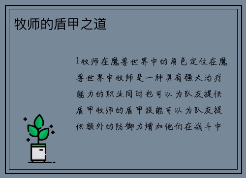 牧师的盾甲之道